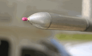 Most pilots would notice a matchstick in their pitot tube, but would you notice if a gang of locusts had made it their home?